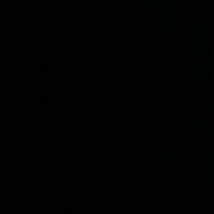 Meet your Posher, Ashlyn